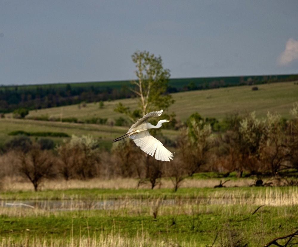 Photograph by Ирина Бабич