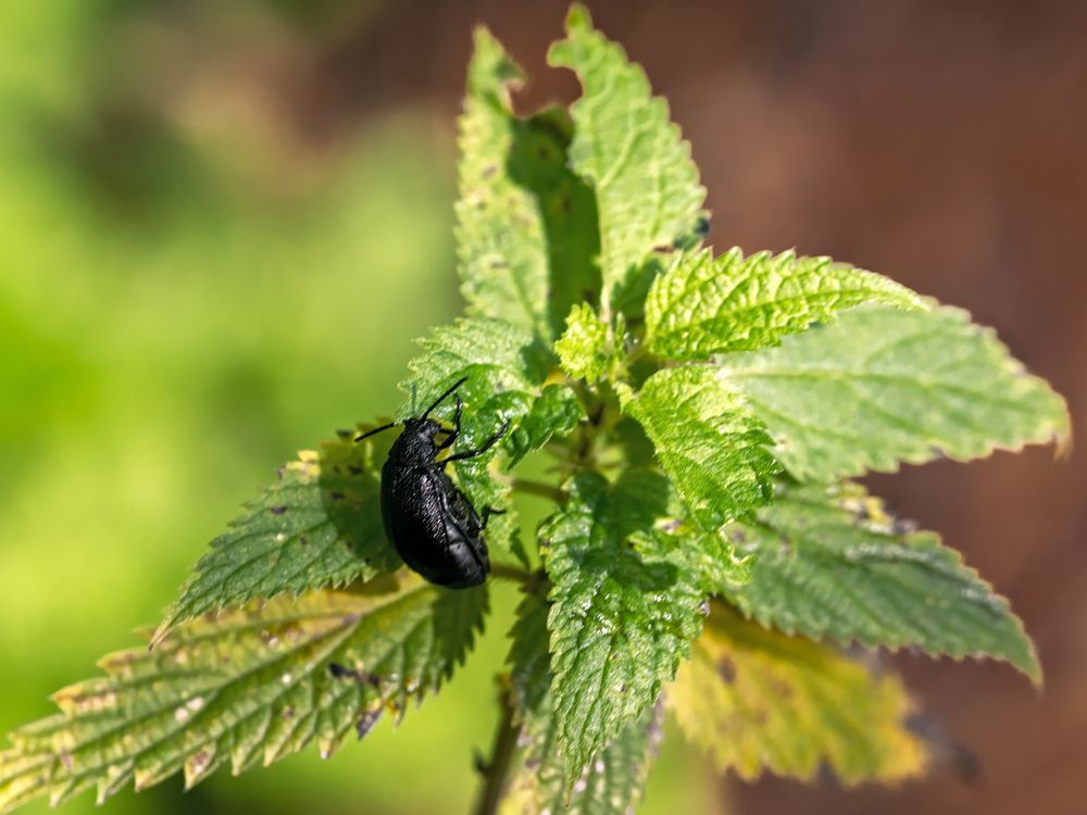 Photograph by Михаил Медведев