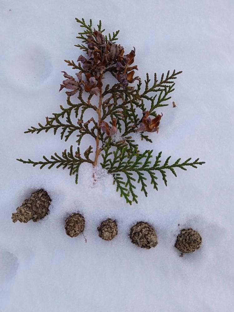 Photograph by Светлана Колбасова