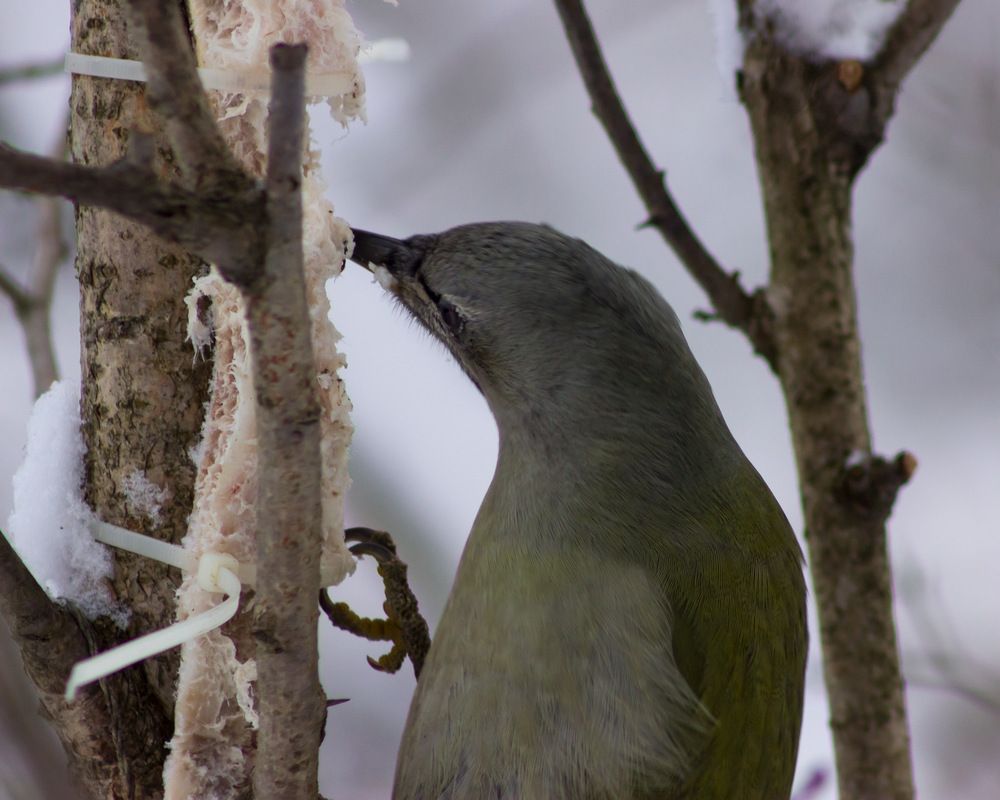 Photograph by Вячеслав