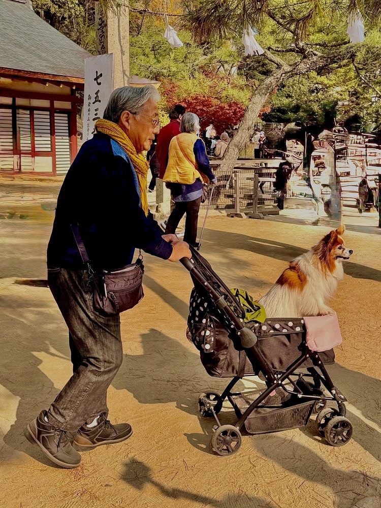 Photograph by Алла Киселева