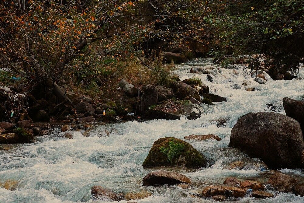 Photograph by Марина А-Б