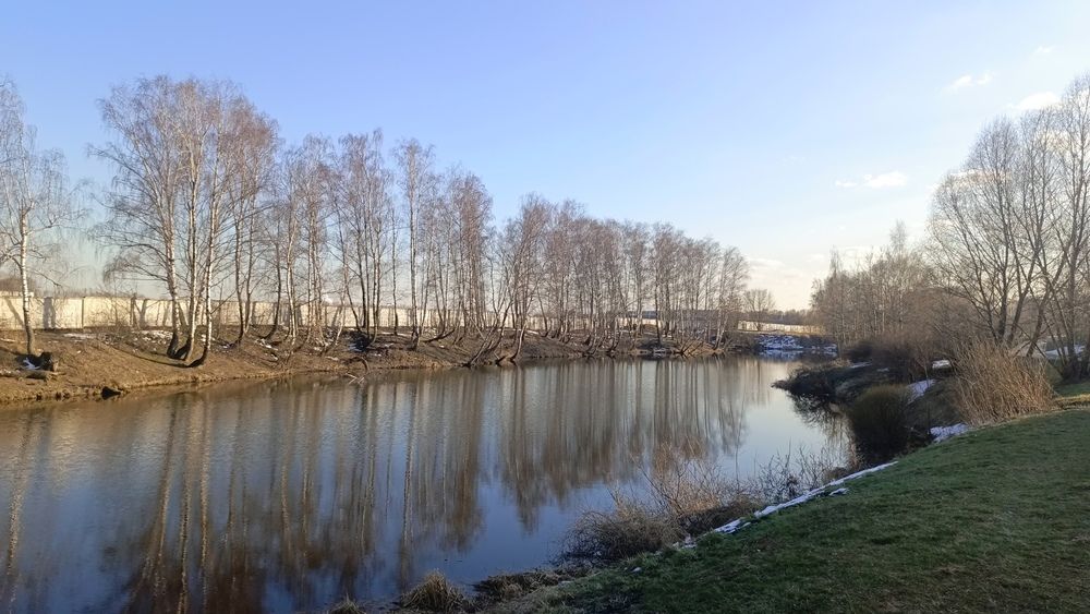 Photo #13242013