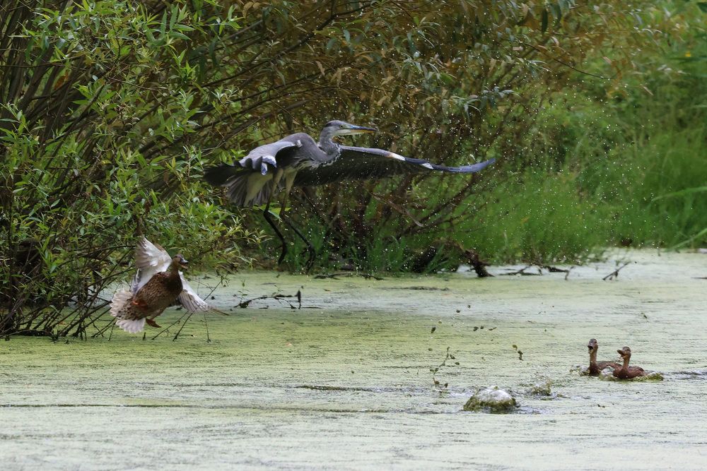 Photograph by Сергей Зорин