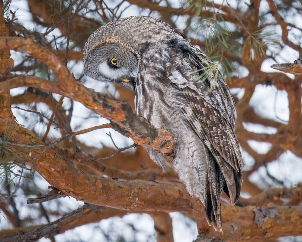 Photograph by Екатерина Дубровская