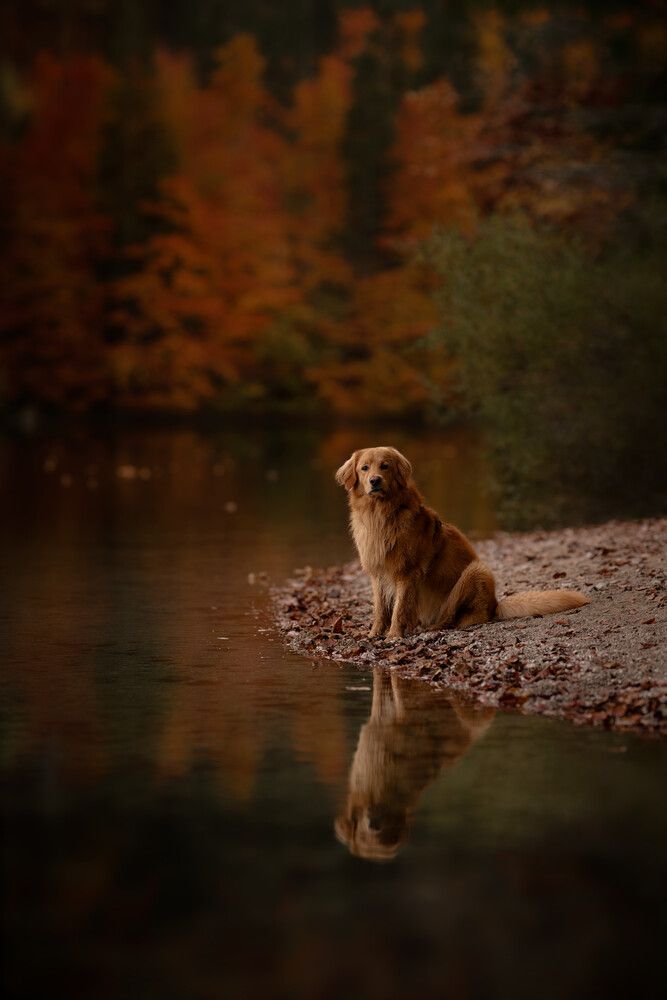 Photograph by Maja Esch