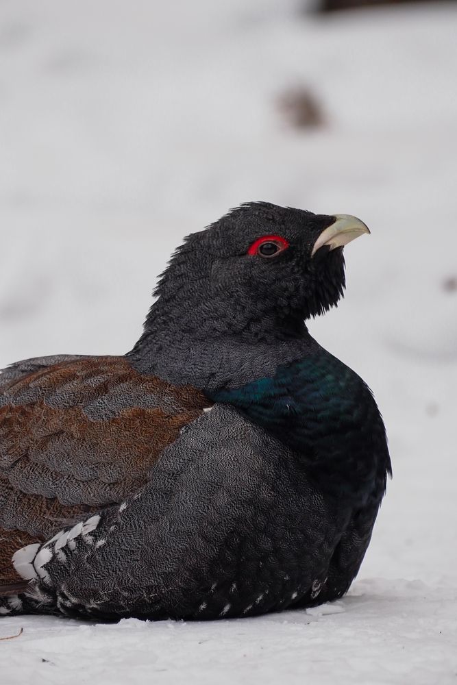 Photograph by Надежда Пахомова