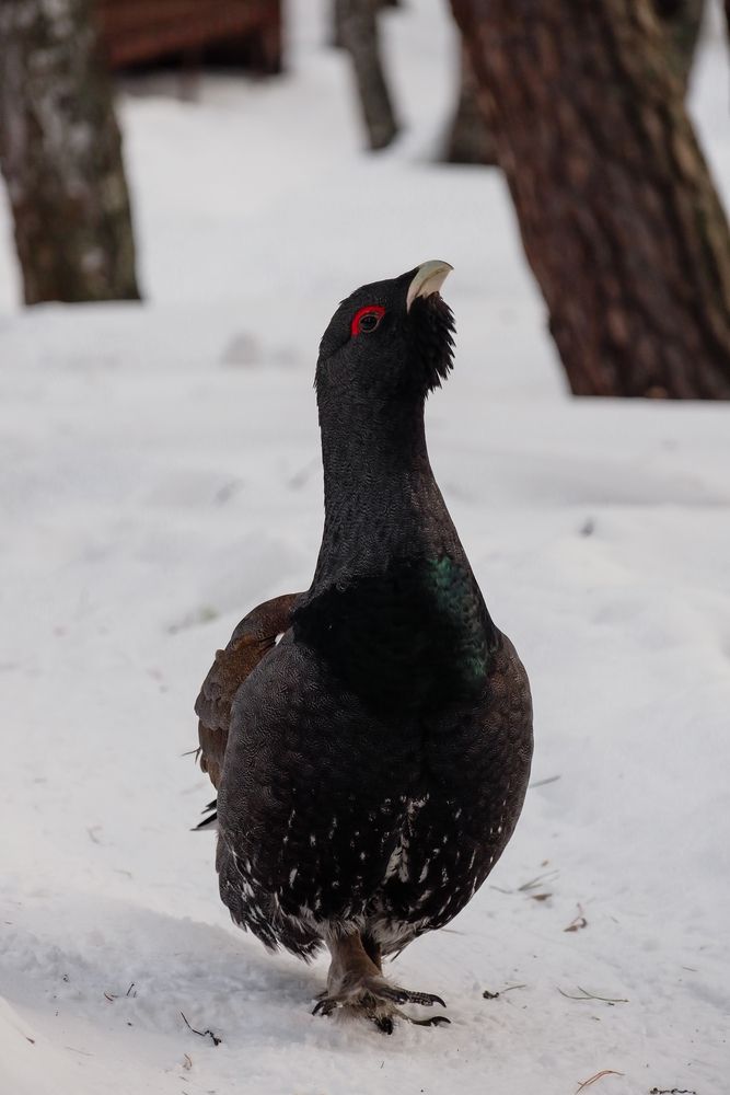 Photograph by Надежда Пахомова
