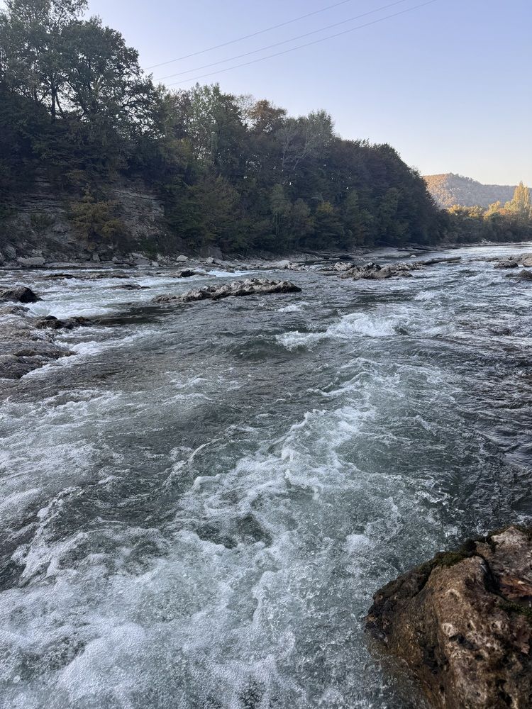 Photograph by Бойкова Наталия