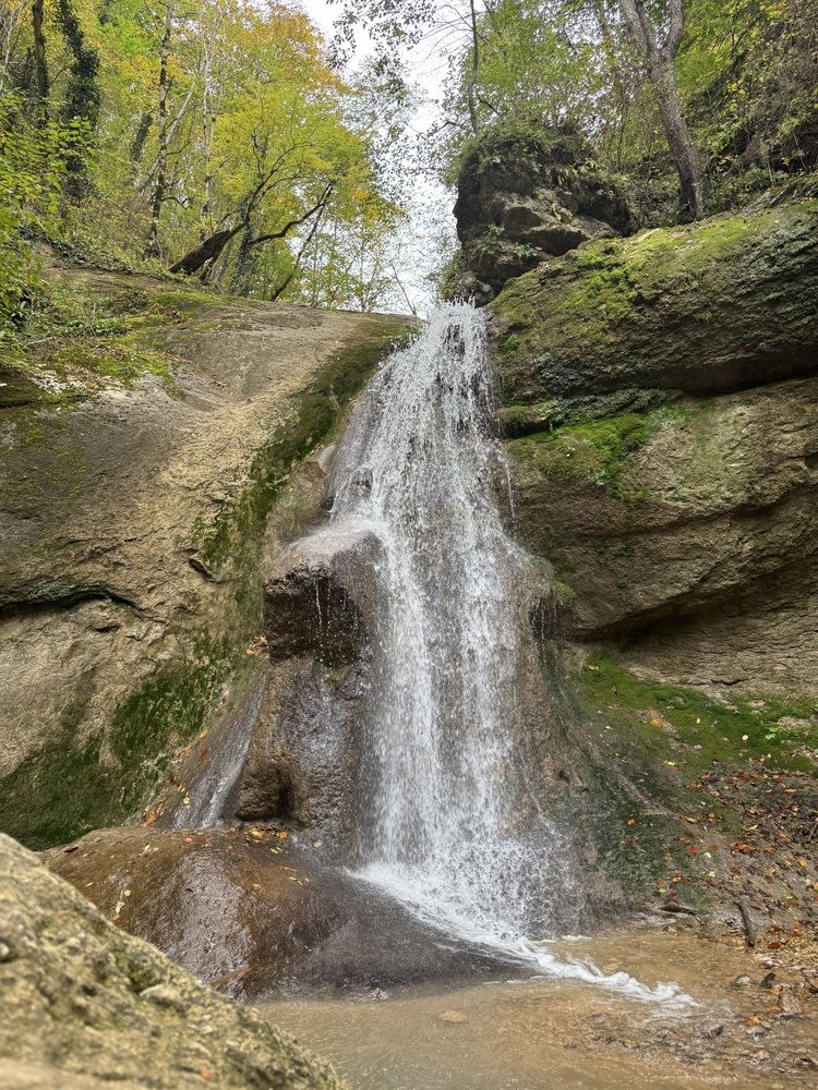 Photograph by Бойкова Наталия