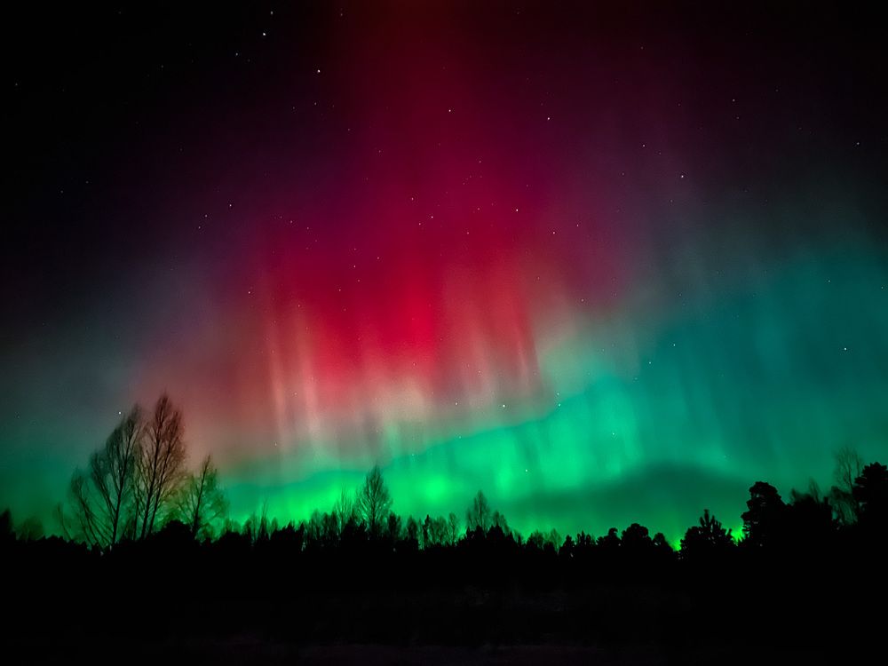 Photograph by Надежда Пахомова