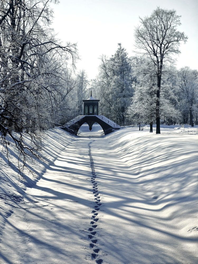 Photograph by Светлана Морева