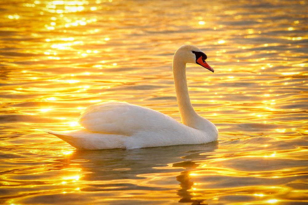 Photograph by Антон Дергунов