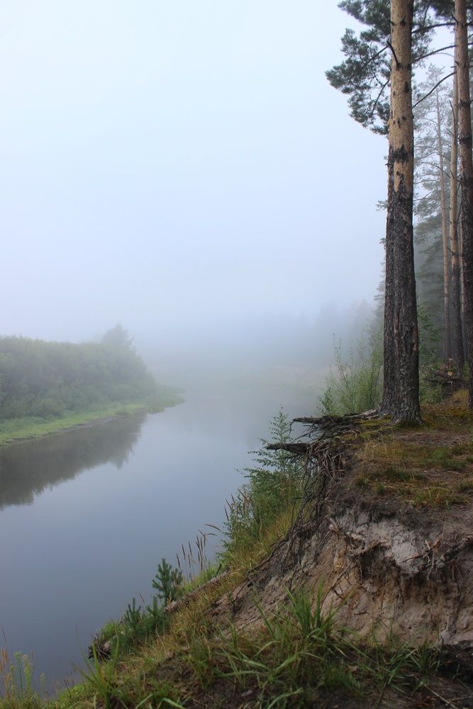Фотография автора Тамара Караваева