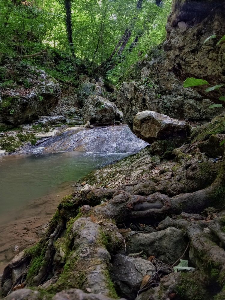 Photograph by Ольга Куцева