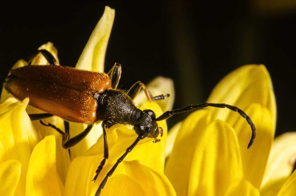 Photograph by Римма Волченко