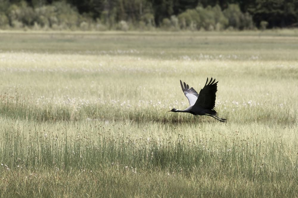 Фотография автора Светлана Андреева