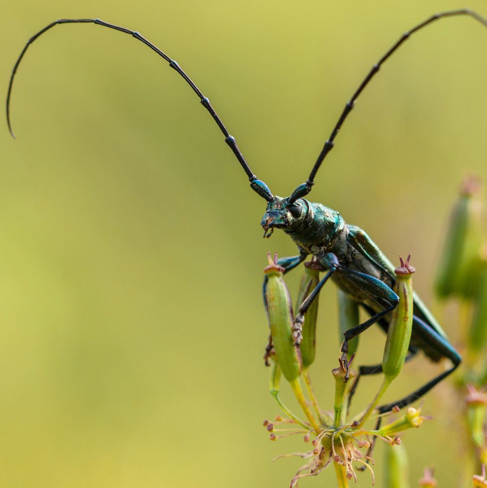 Фотография автора Александр Есликов