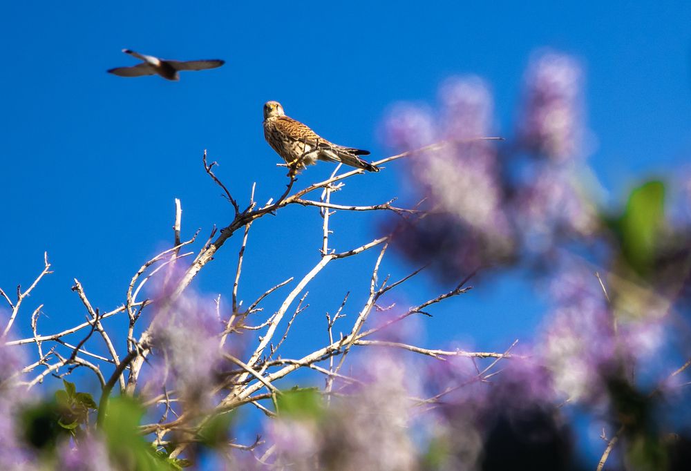 Photograph by Mahdi vagahri shorche