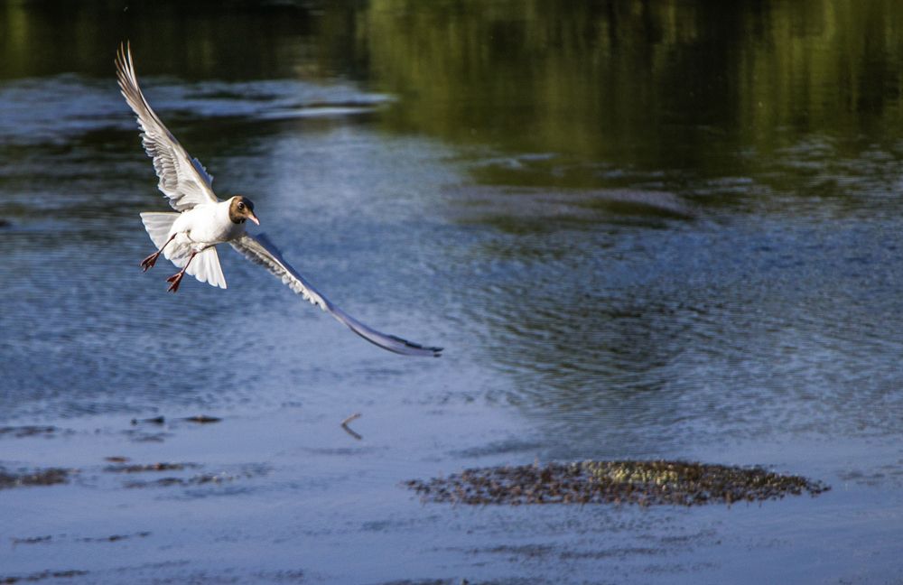 Photograph by Mahdi vagahri shorche