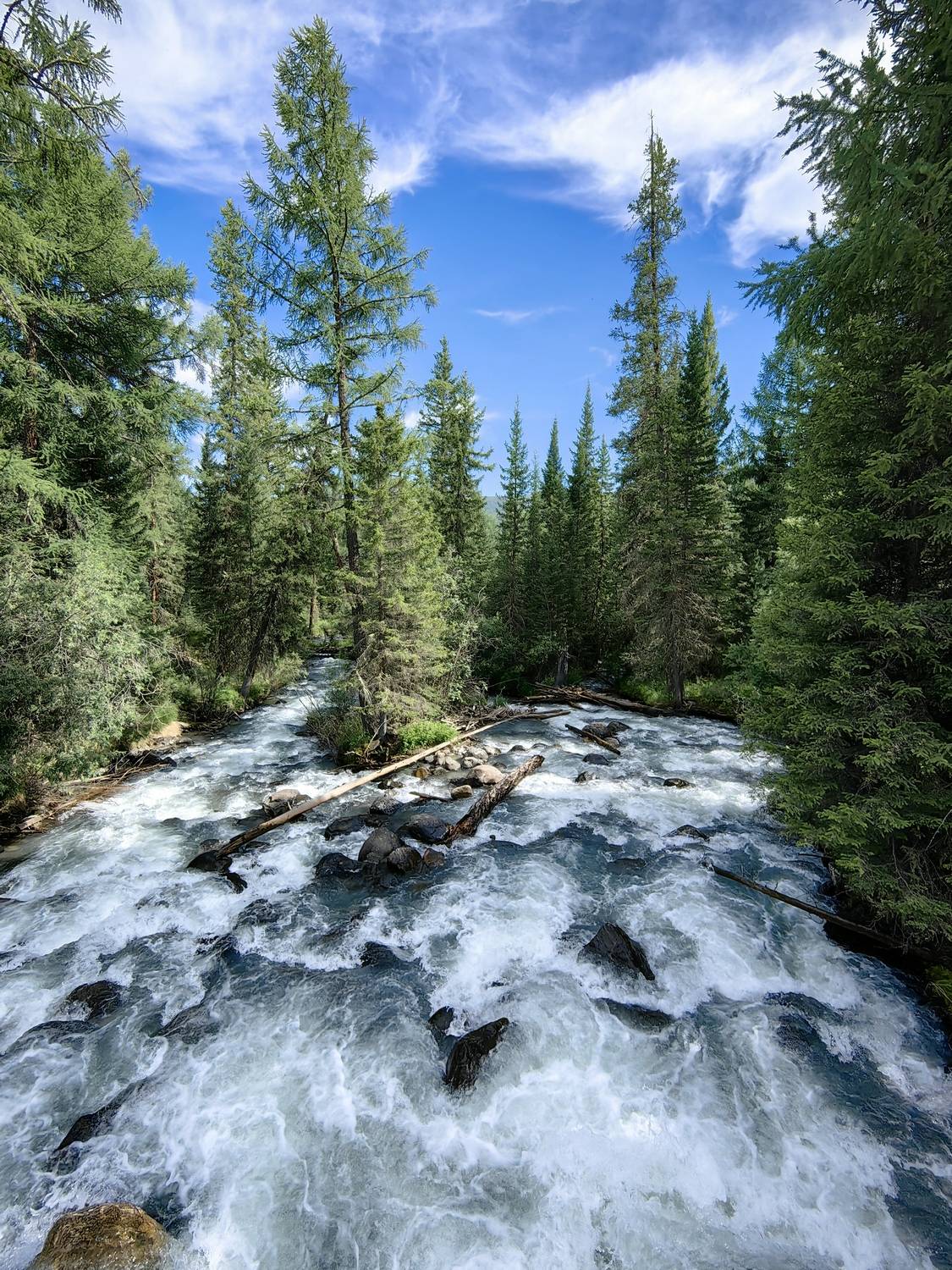 Быстрая река Тюнь на Алтае