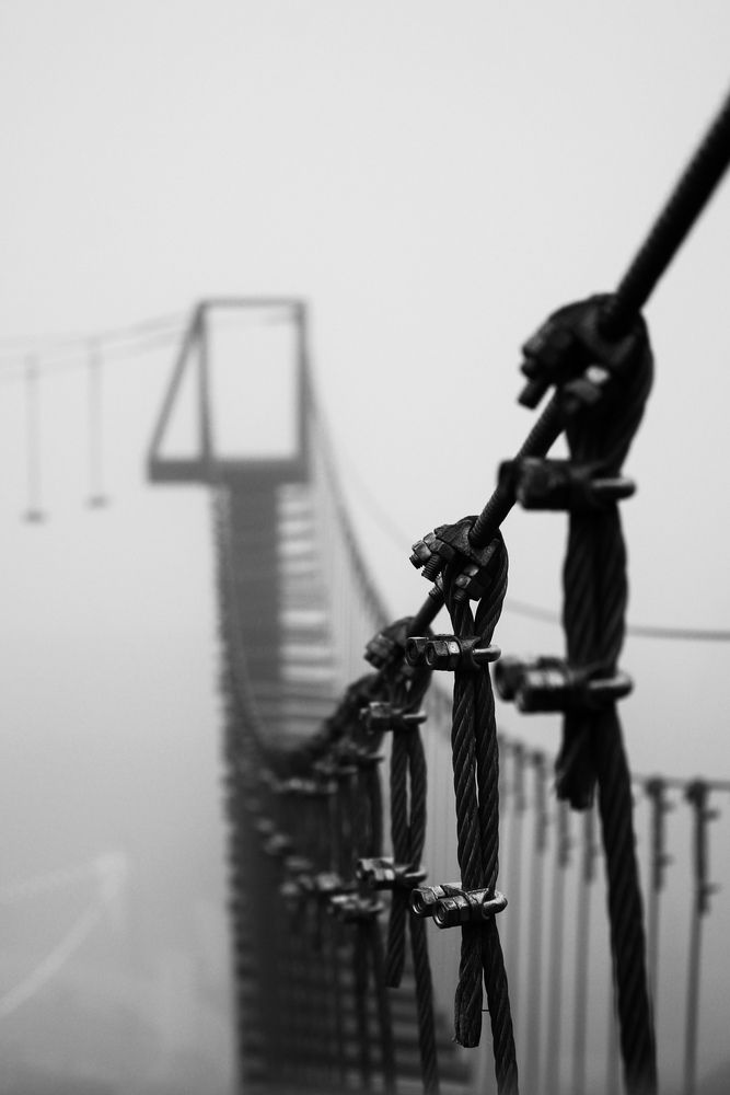 Photograph by Тамила Тищенко