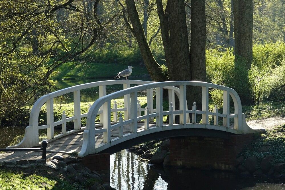 Photograph by jelena konickaja