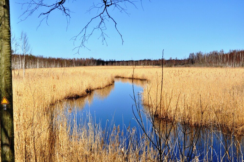 Фотография автора Igors Rostikovs