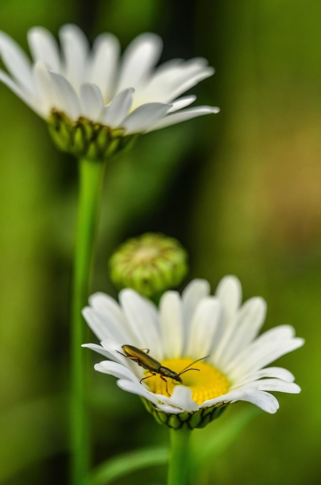 Photograph by Евгения Россоловская