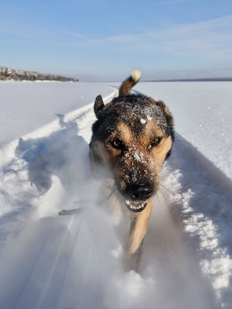 Photograph by Татьяна Пятернёва