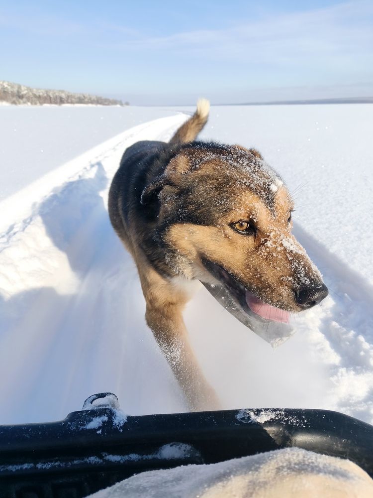 Photograph by Татьяна Пятернёва