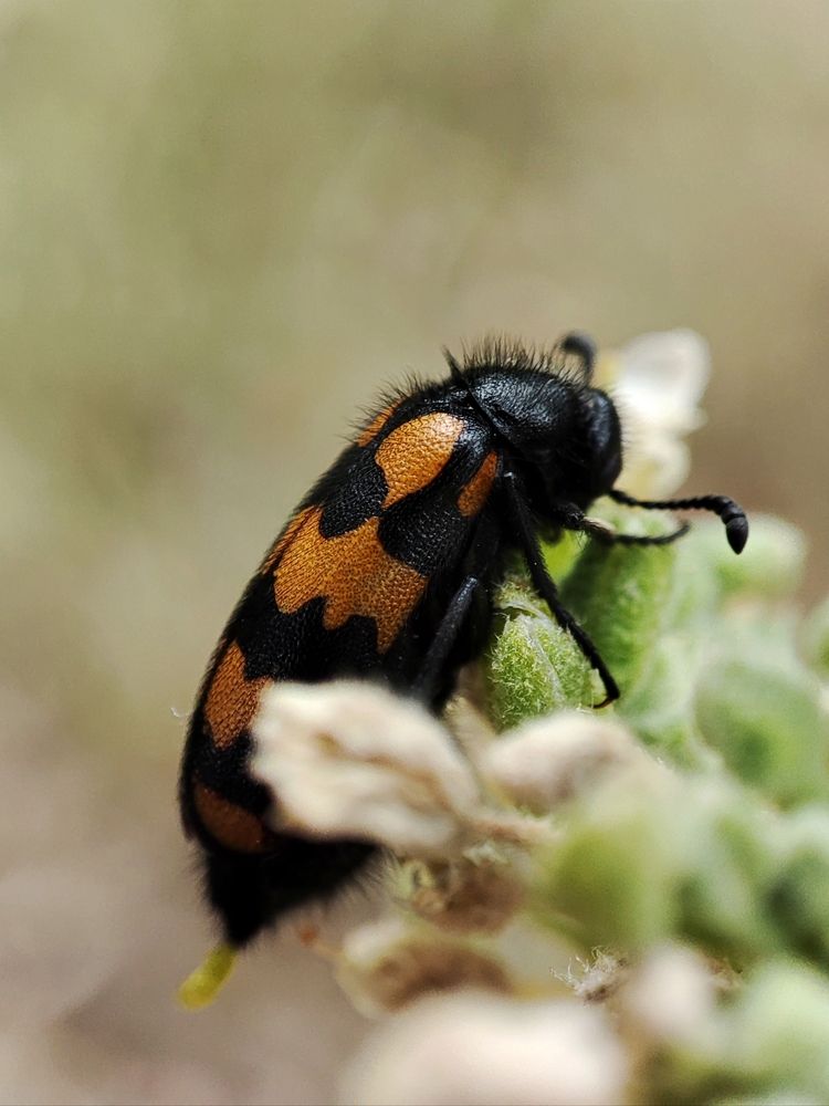 Photograph by Ирина Строкова