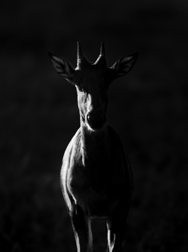 Фотография автора Rishabh Chandra
