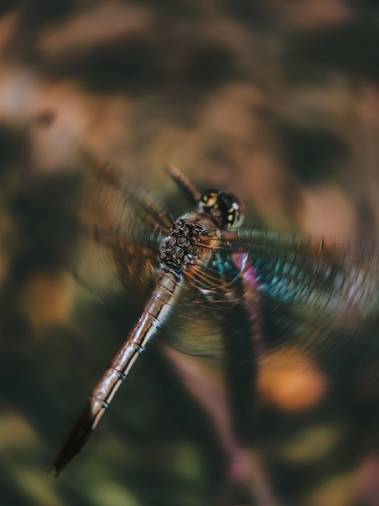 Photograph by Ирина Строкова