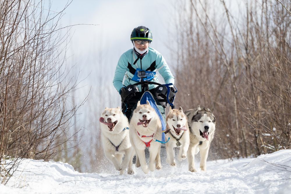 Photograph by Илья Юфа