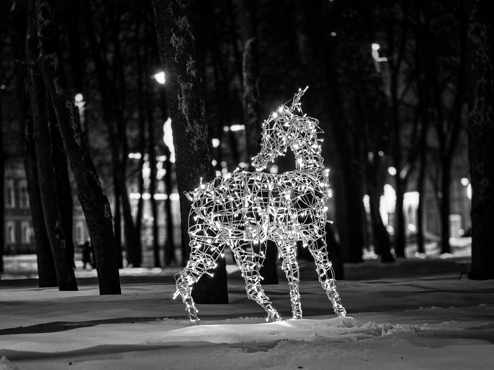 Photograph by Андрей Безгин