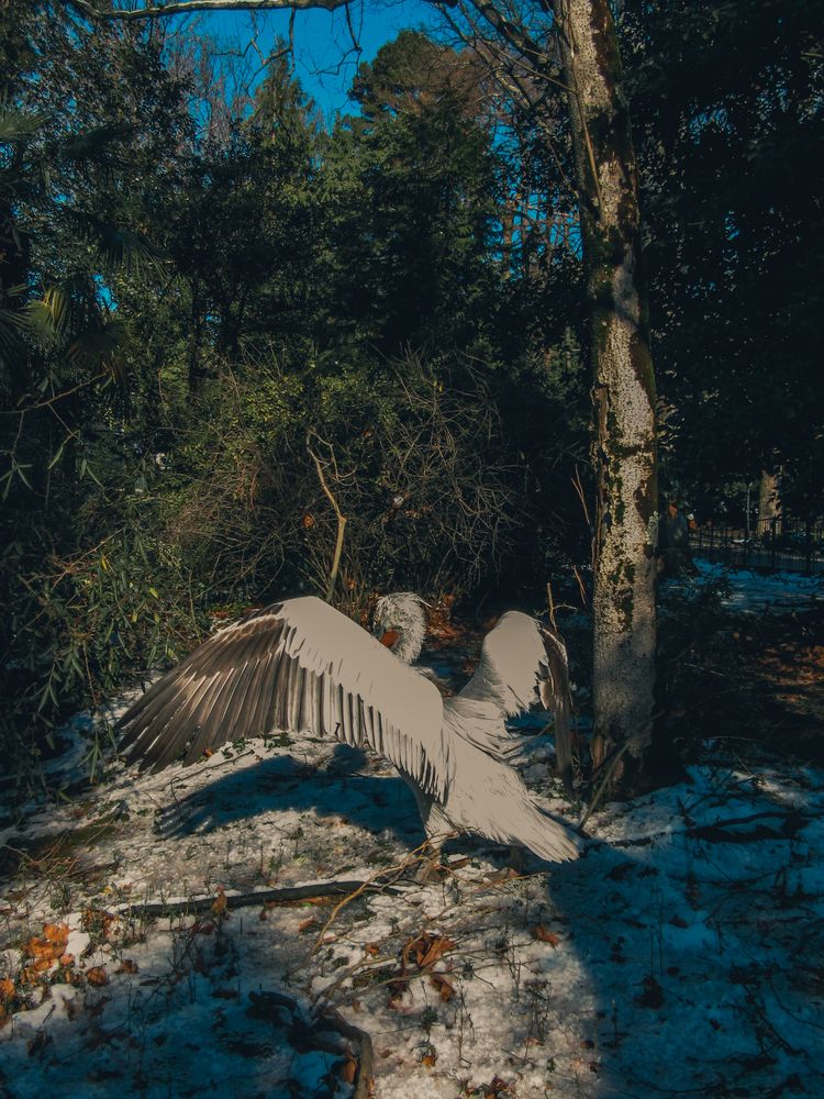 Photograph by Елена Буканина