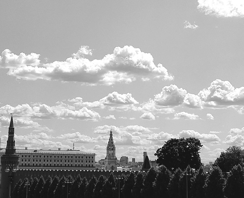 Photo #13242673
