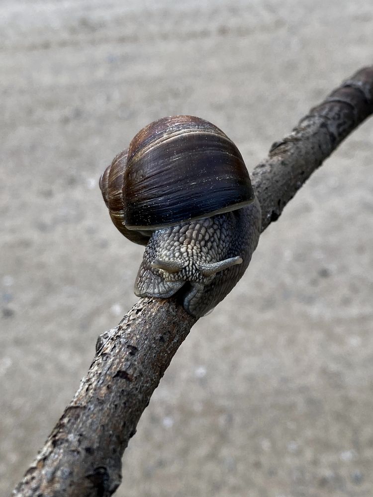 Photograph by Виталий Иванов