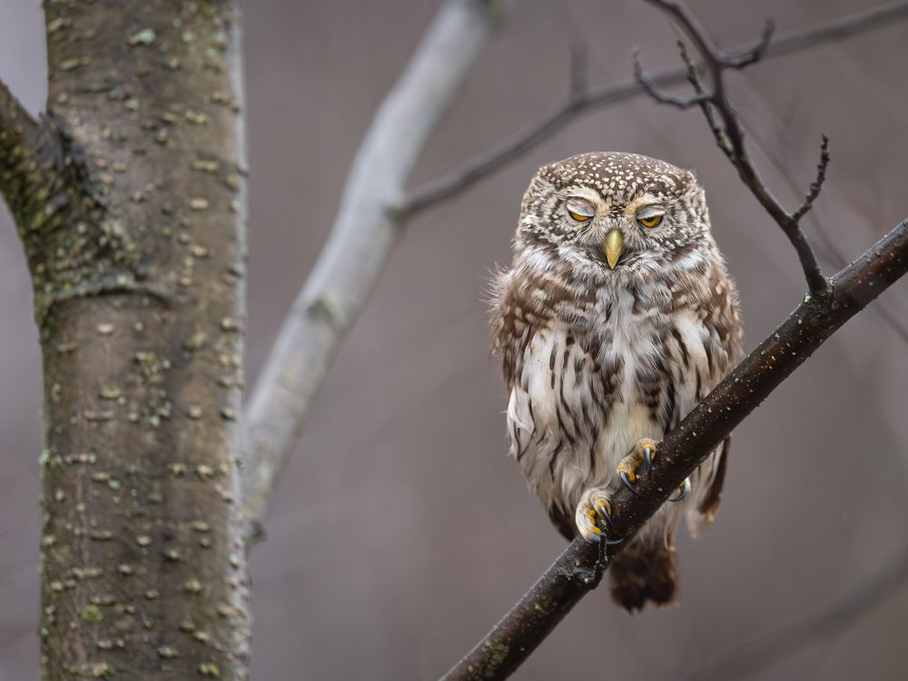 Photograph by Vladimir Pakalevich