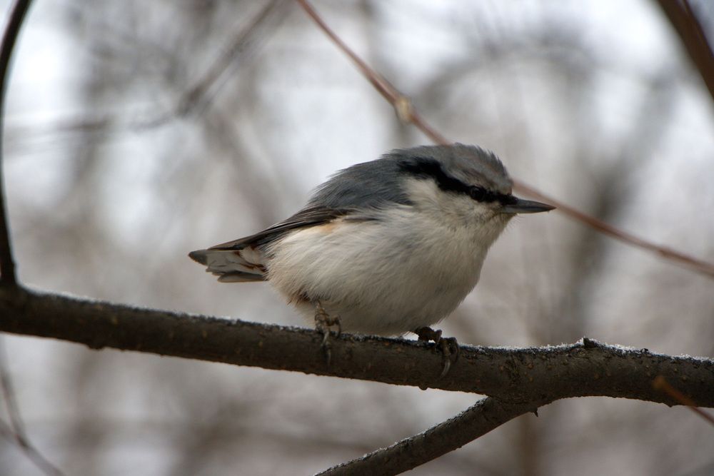 Photograph by Ирина Вассерлауф