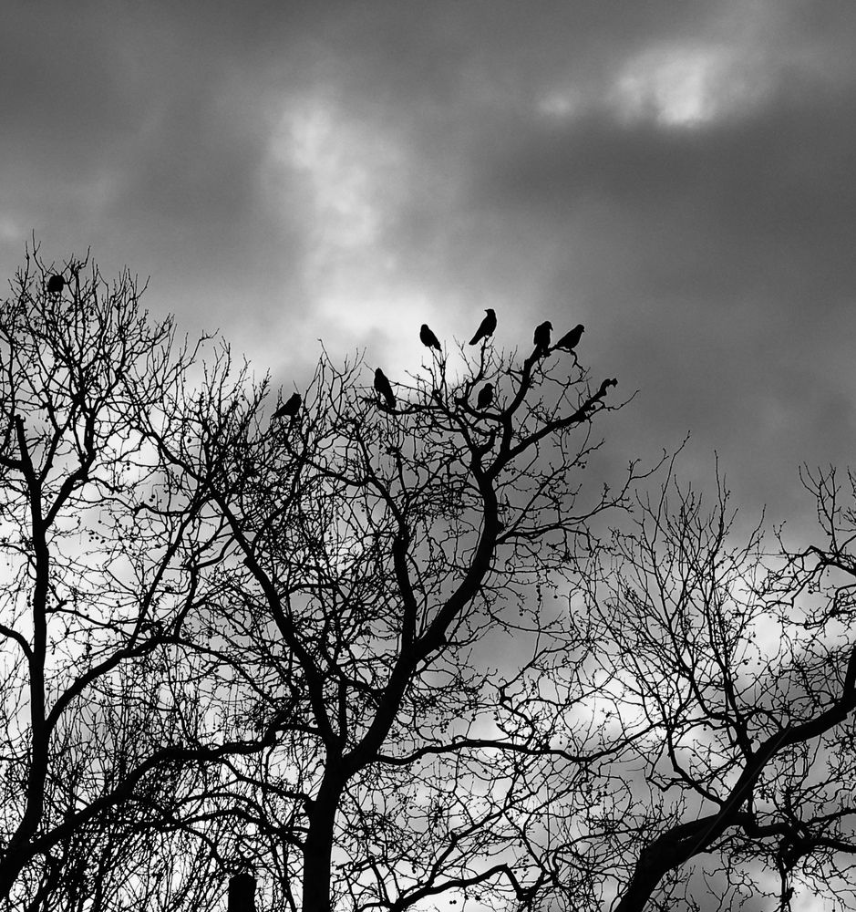 Photograph by Ирина Бабич