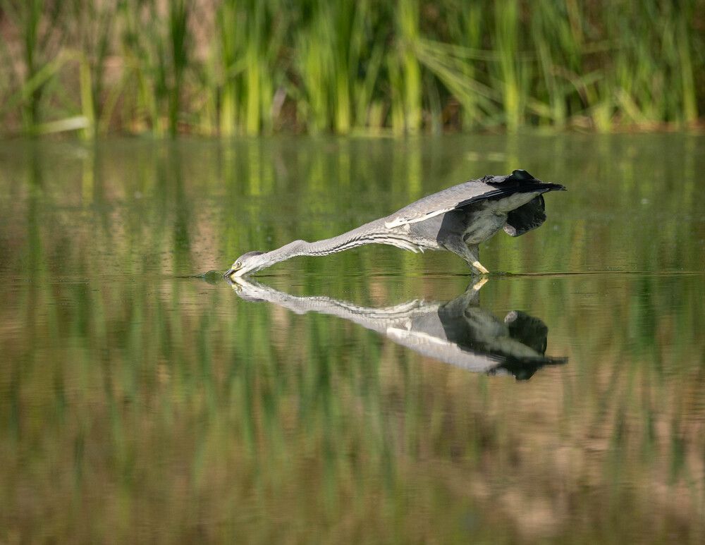 Photograph by Vladimir Pakalevich