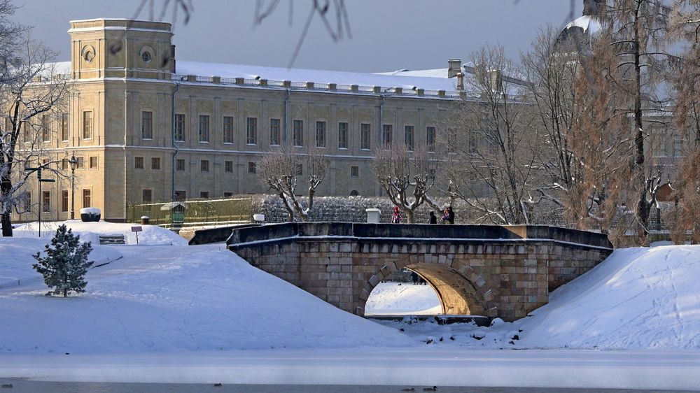 Фотография автора Галина Швыркова