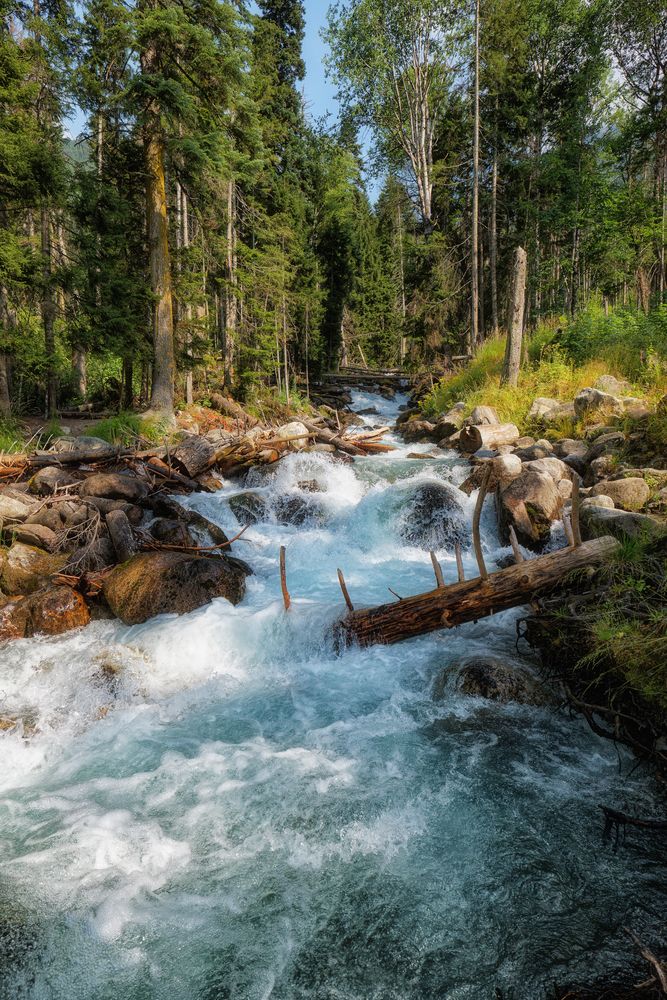 Photograph by Максим Серов