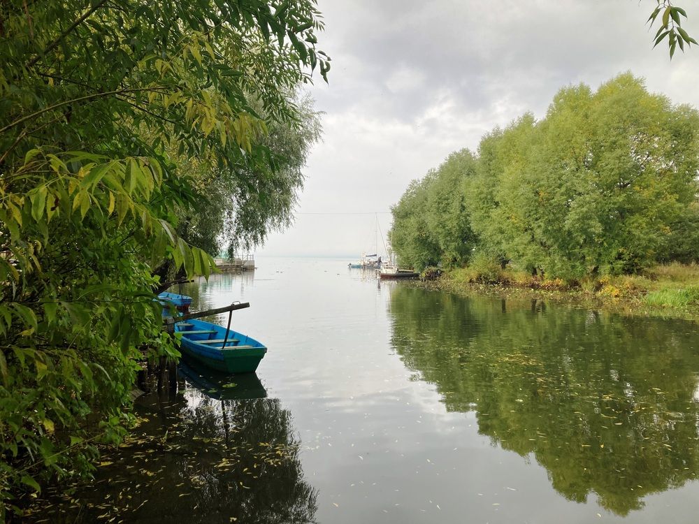 Photograph by Светлана Парамонова