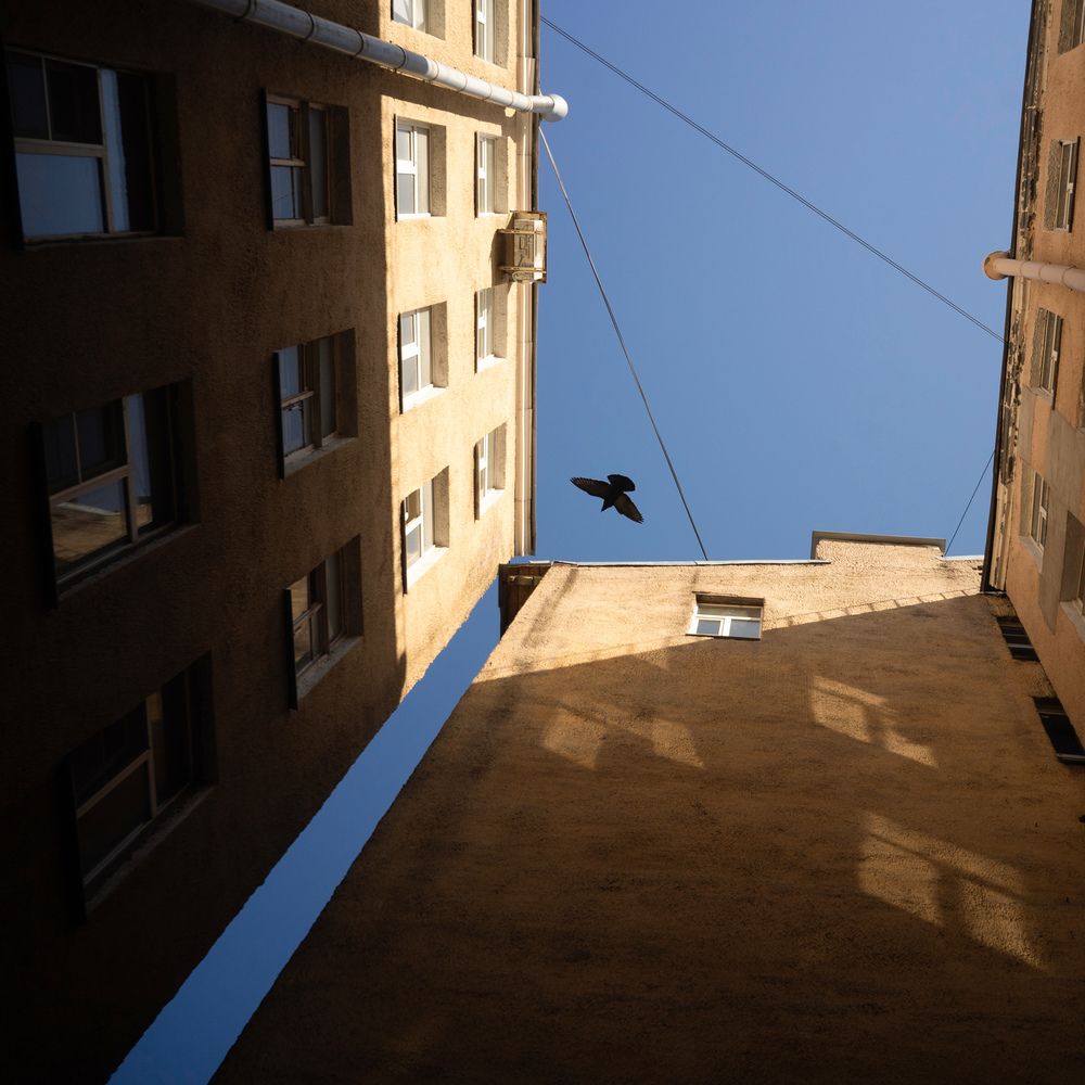 Photograph by Дмитрий Жуков