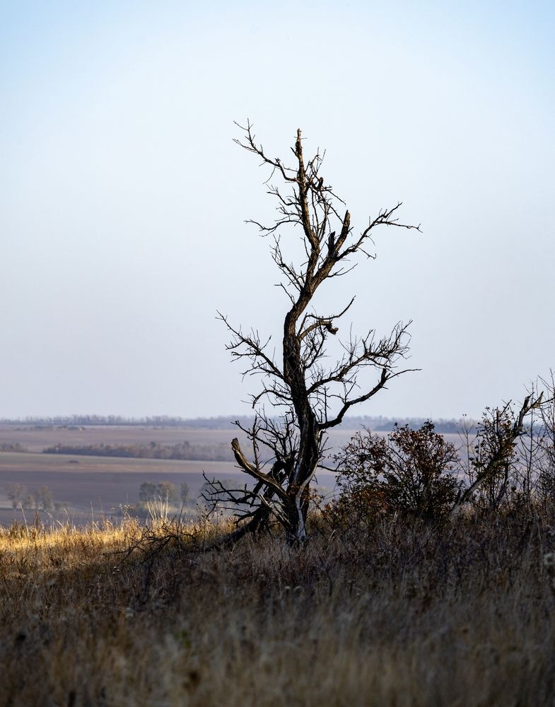 Photograph by Ирина Бабич