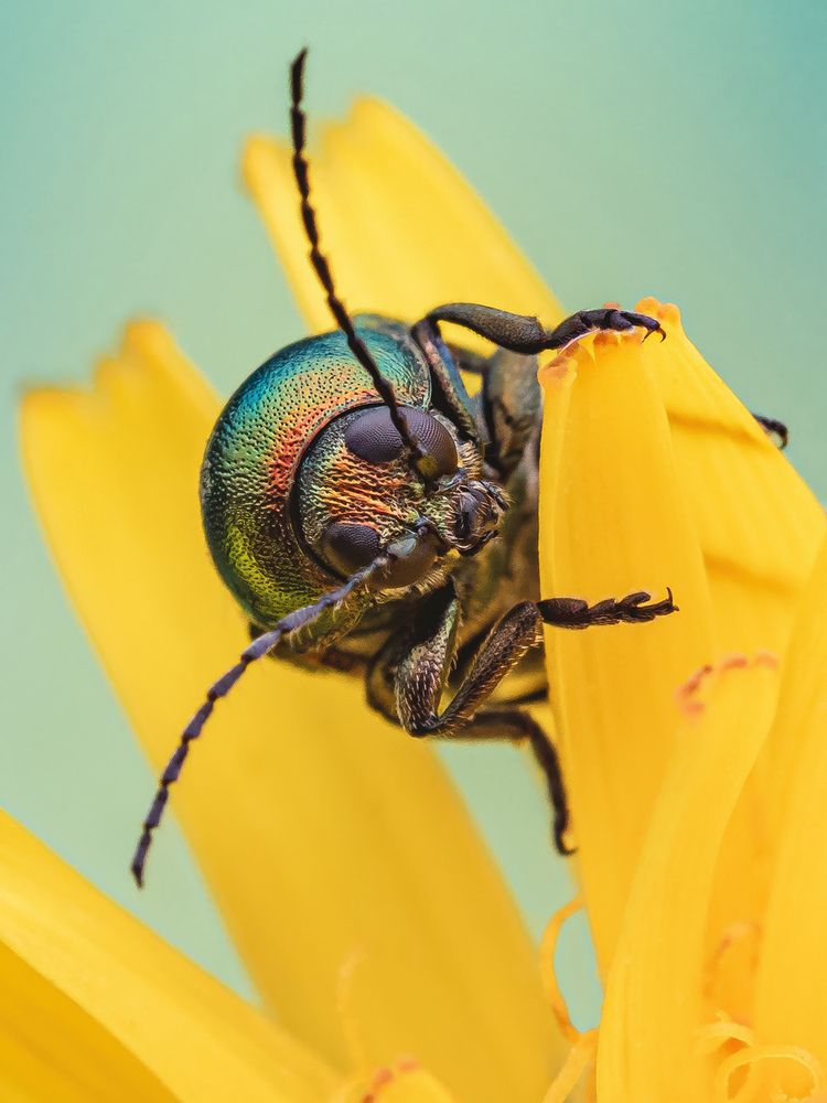 Photograph by Szabó Gergő