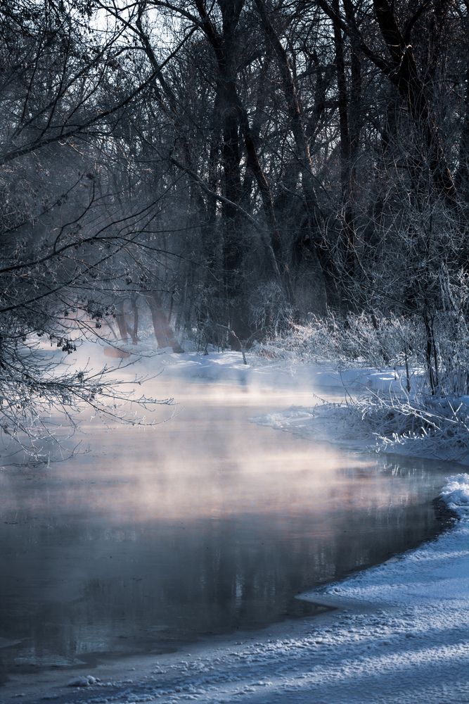 Фотография автора Денис Мартыновский